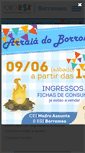 Mobile Screenshot of esisaocarlosborromeo.com.br
